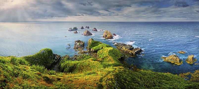 Overgrown headland, Nugget Point, sunlit rocks protruding from Tasman Sea, Kaka Point, The Catlins, South Island, New Zealand
