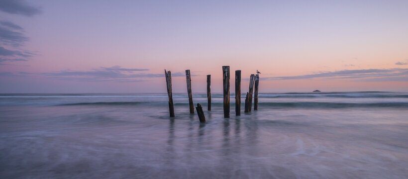 Old broken bridge, posts in the water on the beach at dusk, St. Clair, Dunedin, Southland, New Zealand