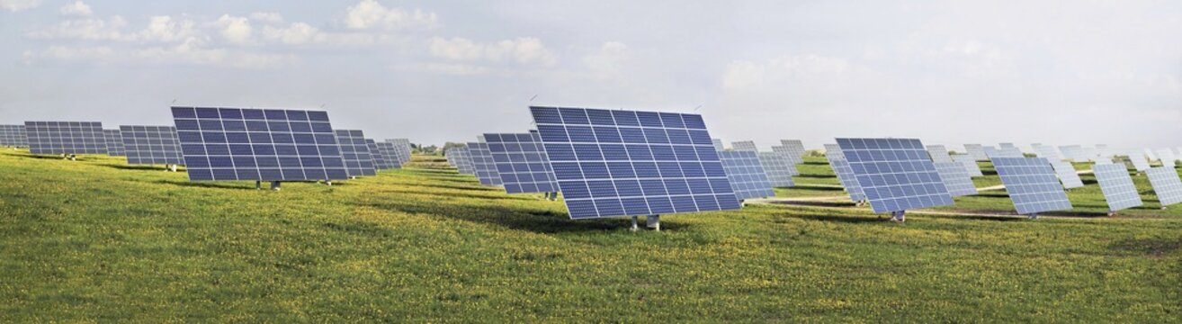 Solar energy park with solar modules or panels on a meadow with dandelions