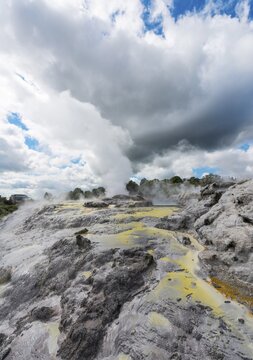 Steaming Pohutu Geyser and Prince of Wales Feathers Geyser, Te Puia, Whakarewarewa, Rotorua, New Zealand