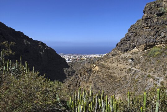 Barranco del Infierno canyon and the seaside town of Adeje, Tenerife island, Canary Islands, Spain, Europe