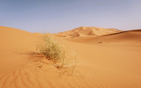 Sand dunes in the desert, dune landscape Erg Chebbi, Merzouga, Sahara, Morocco