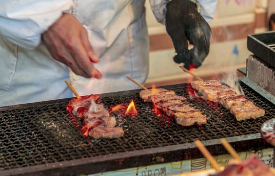 Grilled meat skewers at a food stand, Hanami Fest, Ueno Park, Tokyo, Japan