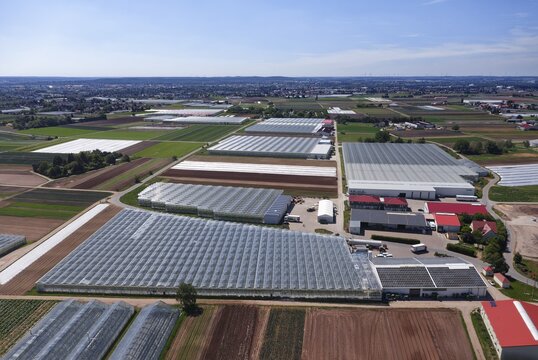Greenhouses and fields in the vegetable growing area, garlic land or garlic country, Nuremberg, Central Franconia, Franconia, Bavaria, Germany