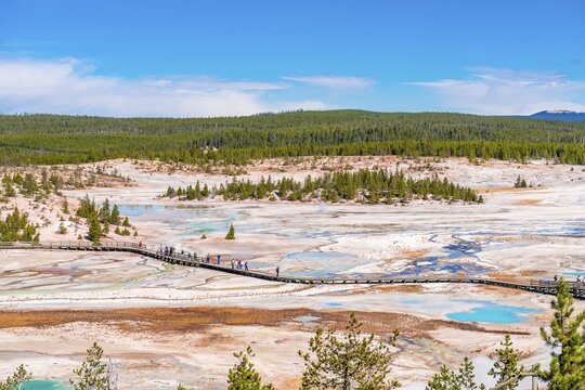 Geysers and hot springs, mineral deposits, view of Norris Back Basin with trail for tourists, Noris Geyser Basin, Yellowstone National Park, Wyoming, USA