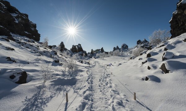 Sunshine, tracks in snow, lava field covered in snow, Krafla volcanic system, Dimmuborgir National Park, M&yacute;vatn, Iceland