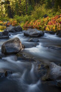 Autumn vegetation on the McCloud River, colorful leaves, long term photo, Siskiyou County, California, USA