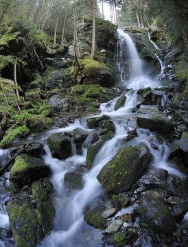Waterfall, Themenweg Wildwasser white water learning path, Mariensee, Lower Austria, Austria, Europe