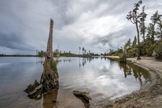 Iveagh Bay on Lake Brunner, Inchbonnie, South Island, New Zealand