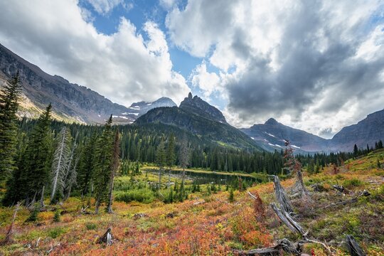 View of Lone Walker Mountain and Mount Rockwell with bushes in fall colors, hiking to Upper Two Medicine Lake, Glacier National Park, Montana, USA