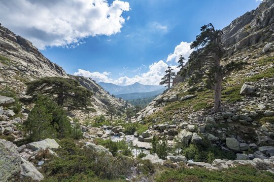 Mountainous landscape in Golo Valley, Nature Park of Corsica, Parc naturel r&eacute;gional de Corse, Corsica, France