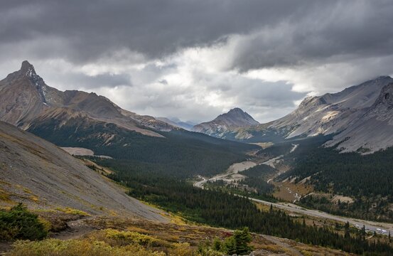 View of mountains Hilda Peak, Mount Wilcox and Nigel Peak and Wilcox Pass in autumn, Parker Ridge, Sunwapta Pass, Icefields Parkway, Jasper National Park National Park, Canadian Rocky Mountains, Alberta, Canada
