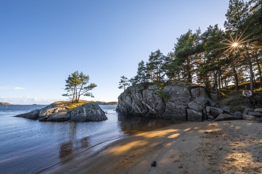 Kanelstranda, sun shining through trees, coast in Furulunden nature park at Mannefjord, Mandal, Norway