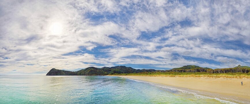Gold Yellow sandy beach of Awaroa Bay, Abel Tasman National Park, Tasman Region, Southland, New Zealand