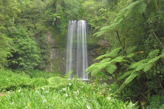 Waterfall Milla Milla in the Atherton Mountains, Queensland, Australia