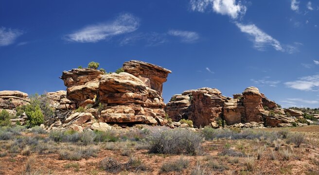 Stone desert landscape, The Needles, Canyonlands National Park, Moab, Utah, United States