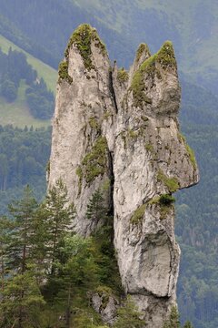 Rockery, Tiesnavy, Mala Fatra National Park, Slovakia, Europe