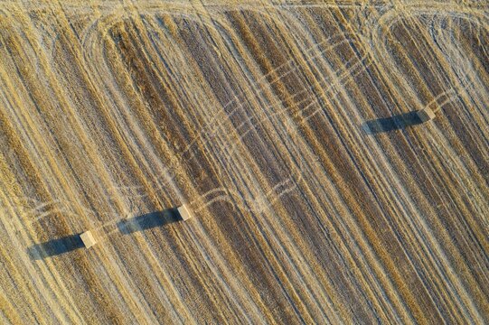 Bales of straw and abstract patterns in cornfield after wheat harvest, prominent the tractor wheel ruts, aerial view, drone shot, C&oacute;rdoba province, Andalusia, Spain