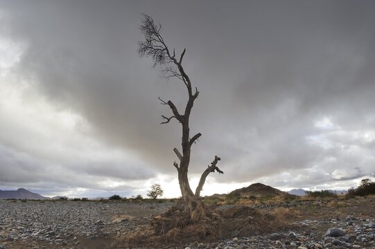 Tsauchab Rivier in front of a rain front, Namibia, Africa