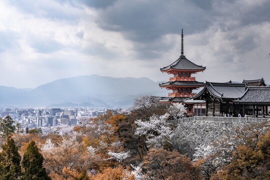 Pagoda and Zuigudō-Hall of the Kiyomizu-dera Temple to Cherry Blossom, Buddhist temple complex, back city, Higashiyama, Kyoto, Japan