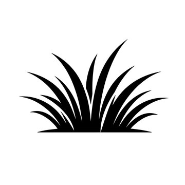 A black silhouette of a clump of grass or a similar plant with long pointed leaves on a white background