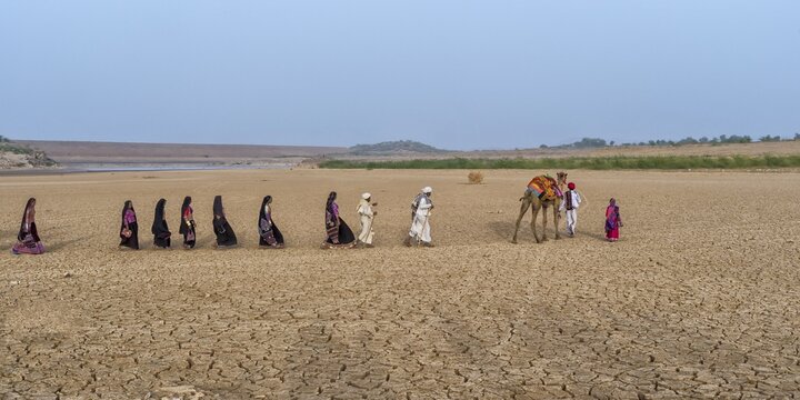 Rabari tribe people walking in the desert with a dromedary, Great Rann of Kutch, Gujarat, India