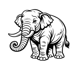 Fototapeta premium elephant vector illustration