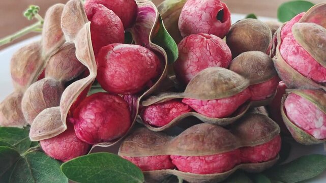 Manila tamarind