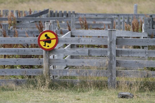 Prohibited to exercise the right to take refuge, warning sign on a pen, Westfjords, Iceland
