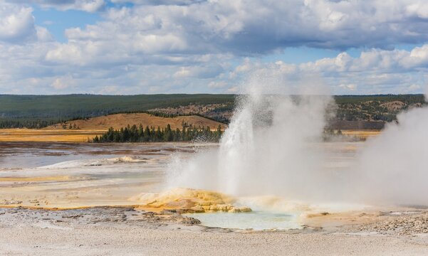 Steaming geyser with water fountain, Spouter Geyser, Black Sand Basin, Yellowstone National Park, Wyoming, USA