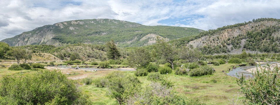 horses in Pipo river valley near Macarena station of Southern Fuegin Railway, Tierra del fuego, Argentina