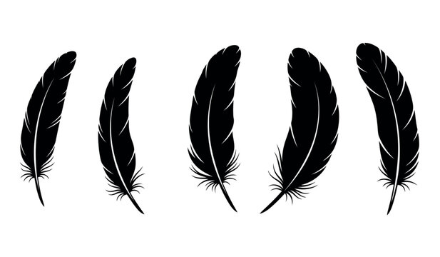 Five black feathers in a row on a white background illustration design