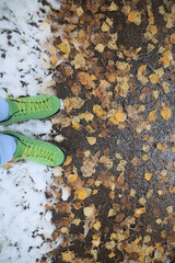 Naklejka premium autumn fallen leaves frozen in ice, seasonal background, texture of autumn and early winter