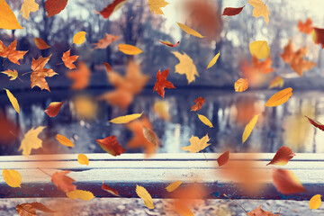 Obraz premium Leaf fall landscape in autumn park, colorful leaves flying in the wind background of October