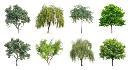 Fototapeta premium PNG Diverse trees with lush foliage on transparent background