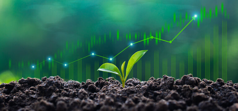 Sustainable green business growth and green investment concepts, with updated financial charts and seedlings growing against a sunny background. Growth of money, finance, and investment.