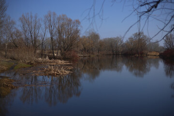 Obraz premium Spring river landscape with fresh greenery, scenic nature background