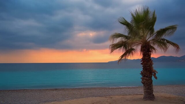 Meer mit Palme im Sonnenuntergang 