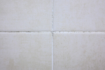 Fototapeta premium Black Mold and Mildew on Bathroom Tile Grout. Dirty Ceramic Tiles in Shower, Dampness and Hygiene Issues, Home Maintenance Concept. Fungal Growth in Wet Room, Need for Cleaning and Disinfection
