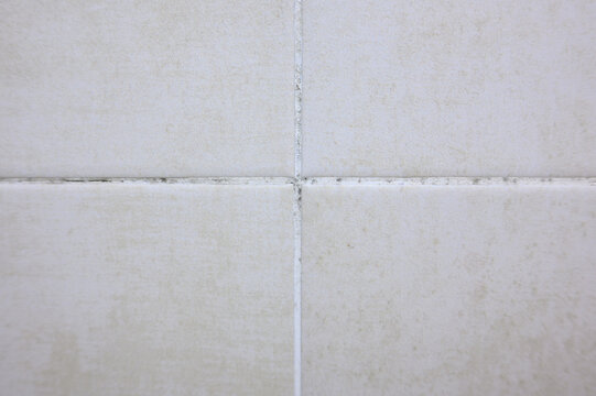  Black Mold and Mildew on Bathroom Tile Grout. Dirty Ceramic Tiles in Shower, Dampness and Hygiene Issues, Home Maintenance Concept. Fungal Growth in Wet Room, Need for Cleaning and Disinfection