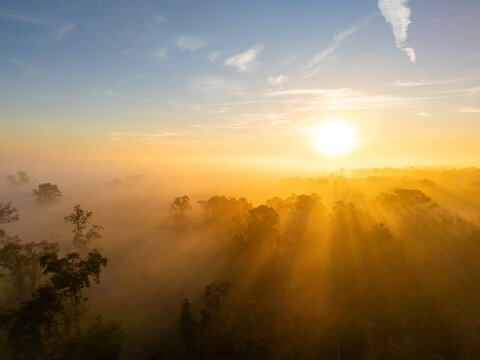 Aerial view of a golden sunrise over a foggy forest with light rays piercing through the mist and trees in Valdosta, Georgia, United States.