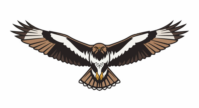 A majestic bird of prey with wings spread wide in flight, isolated on white