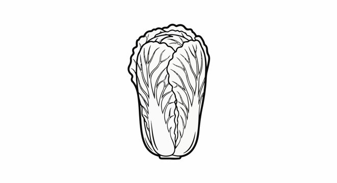 A stark, graphic illustration of a Napa cabbage on a plain white background