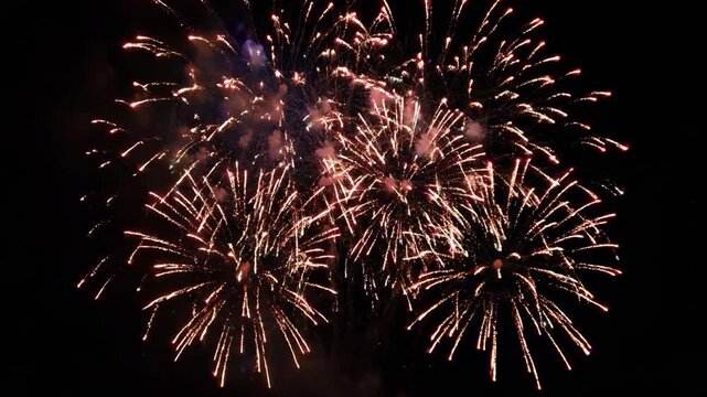 Beautiful fireworks lighting up the summer night sky (festivals, nightscapes, fireworks displays, stock footage)