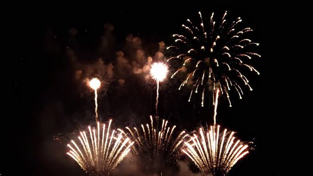 Beautiful fireworks lighting up the summer night sky (festivals, nightscapes, fireworks displays, stock footage)