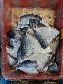 Fish