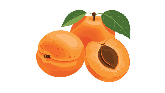 Ripe orange apricots shown as two whole fruits and one half with its pit and green leaves for a healthy food theme.