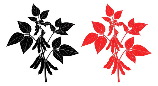 Soybean Plant Silhouette and Outline with Pods, Black and Red.