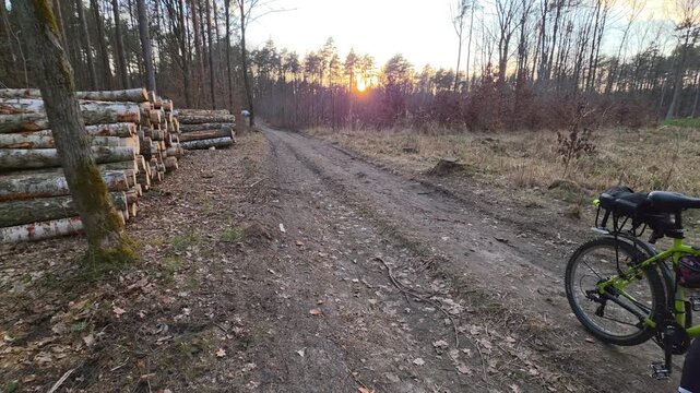 
Wycieczka w lesie w słoneczny dzień, Mazowsze, Polska.
Hiking in the forest on a sunny day, Masovia, Poland.