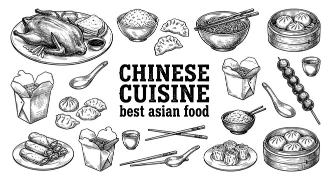 Chinese cuisine dumpling noodle peking duck spring roll dim sum sketch